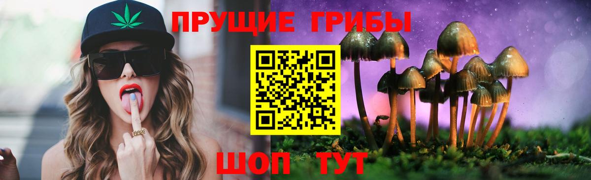 Галлюциногенные грибы Psilocybe  Галлюциногенные грибы мухоморы  Вход с VPN  Ленинск-Кузнецкий 